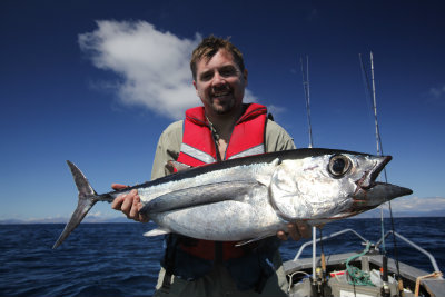Albacore Tuna Nelson 192 400 Albacore Tuna Nelson 192 400